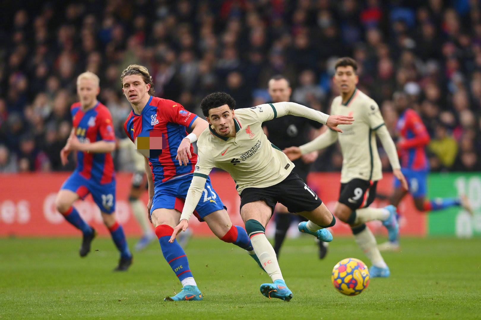 才俊加维与 才俊加维与